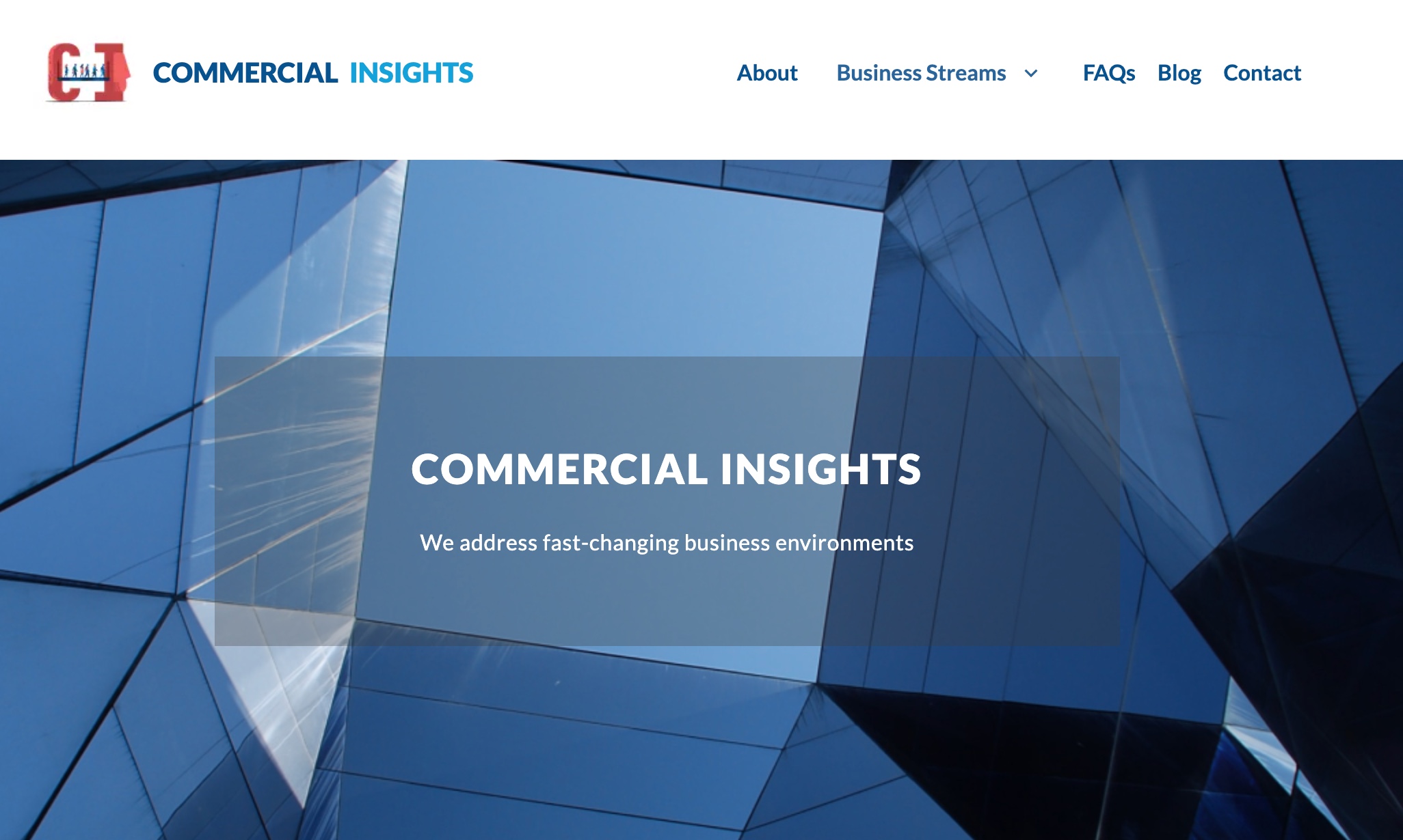 Commercial Insights consulting website hero section